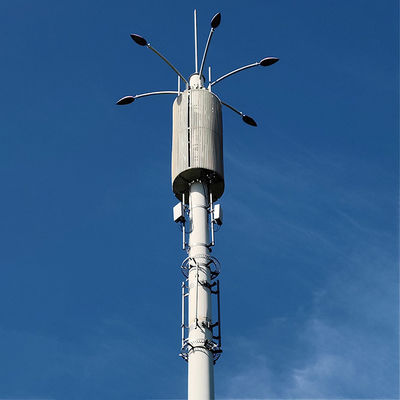 خرید Hot Dip Galvanized Telecommunication Post With Ladders And Platform For High Strength Low Alloy Structural Steel Plates online manufacture